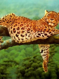 Animal Wallpapers 0136